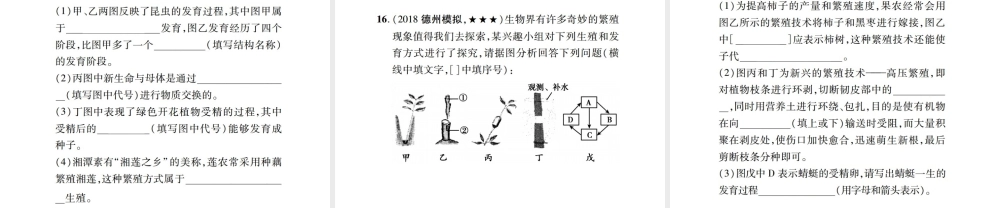 PK中考（江西专用）中考生物 同步高效集训（十九）课件-人教级全册生物课件