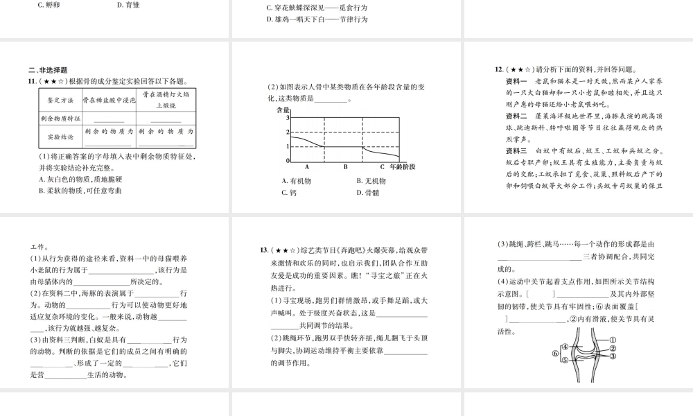 PK中考（江西专用）中考生物 同步高效集训（十六）课件-人教级全册生物课件