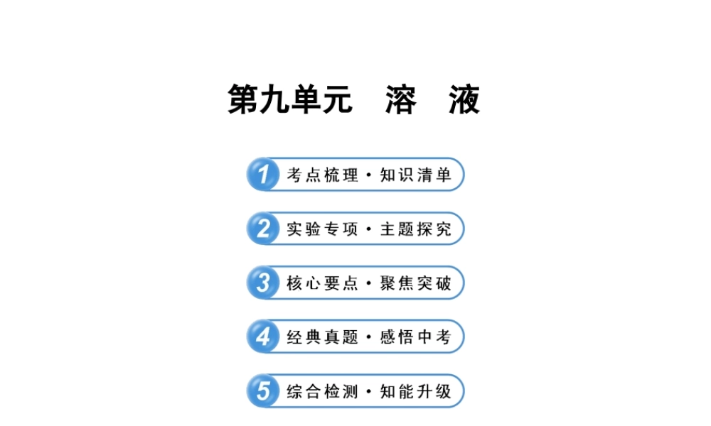【全程复习方略】2013版中考化学 第九单元溶 液（含中考示例）课件 新人教版
