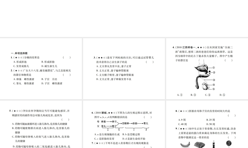 PK中考（江西专用）中考生物 同步高效集训（十七）课件-人教级全册生物课件