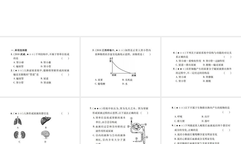 PK中考（江西专用）中考生物 同步高效集训（十三）课件-人教级全册生物课件