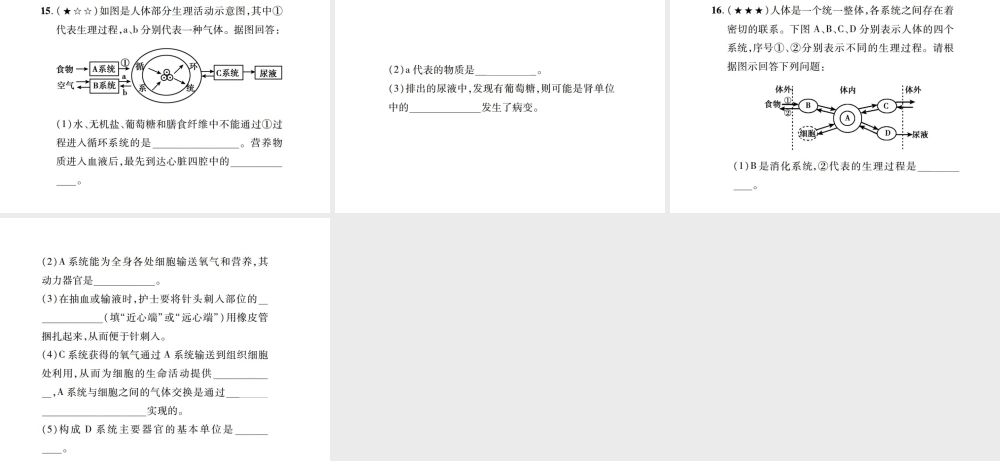 PK中考（江西专用）中考生物 同步高效集训（十三）课件-人教级全册生物课件