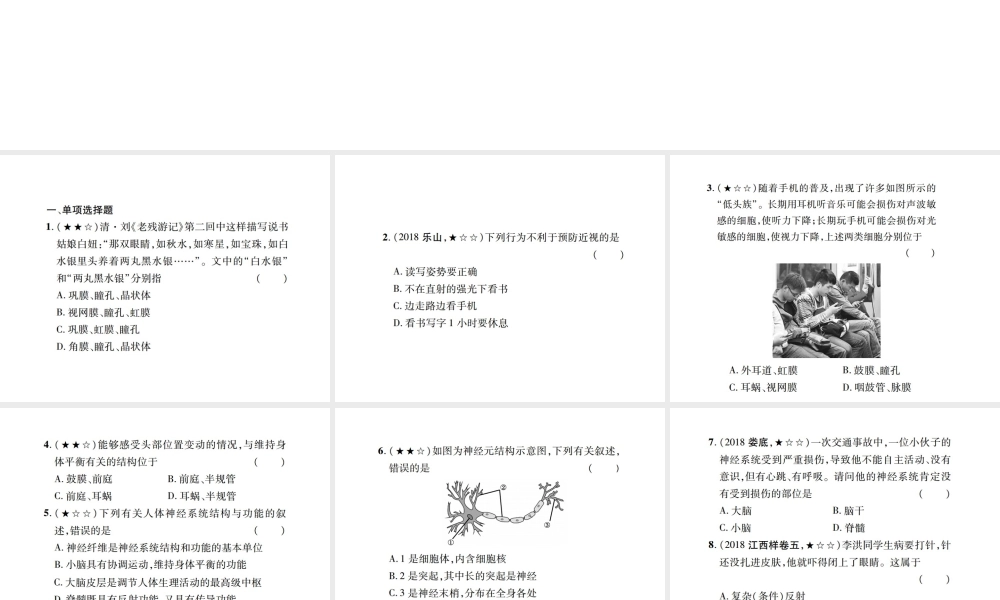 PK中考（江西专用）中考生物 同步高效集训（十四）课件-人教版初中九年级全册生物课件