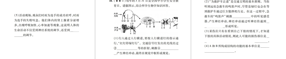 PK中考（江西专用）中考生物 同步高效集训（十四）课件-人教版初中九年级全册生物课件