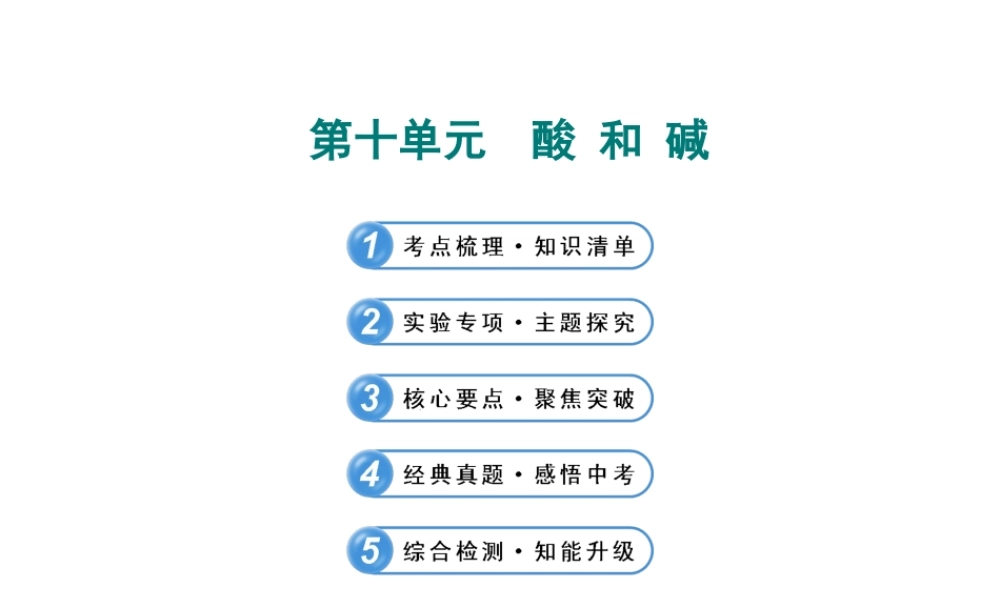 【全程复习方略】2013版中考化学 第十单元 酸和碱课件（含中考示例） 新人教版