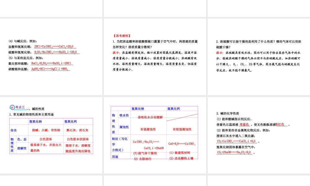 【全程复习方略】2013版中考化学 第十单元 酸和碱课件（含中考示例） 新人教版