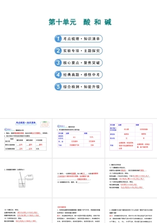 【全程复习方略】2013版中考化学 第十单元 酸和碱课件（含中考示例） 新人教版