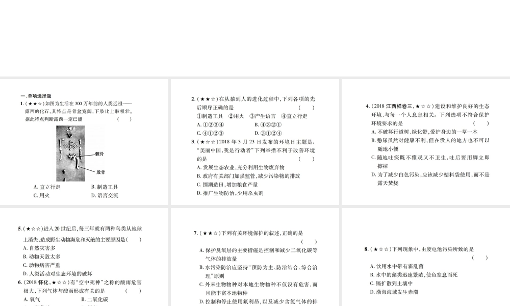 PK中考（江西专用）中考生物 同步高效集训（十五）课件-人教级全册生物课件