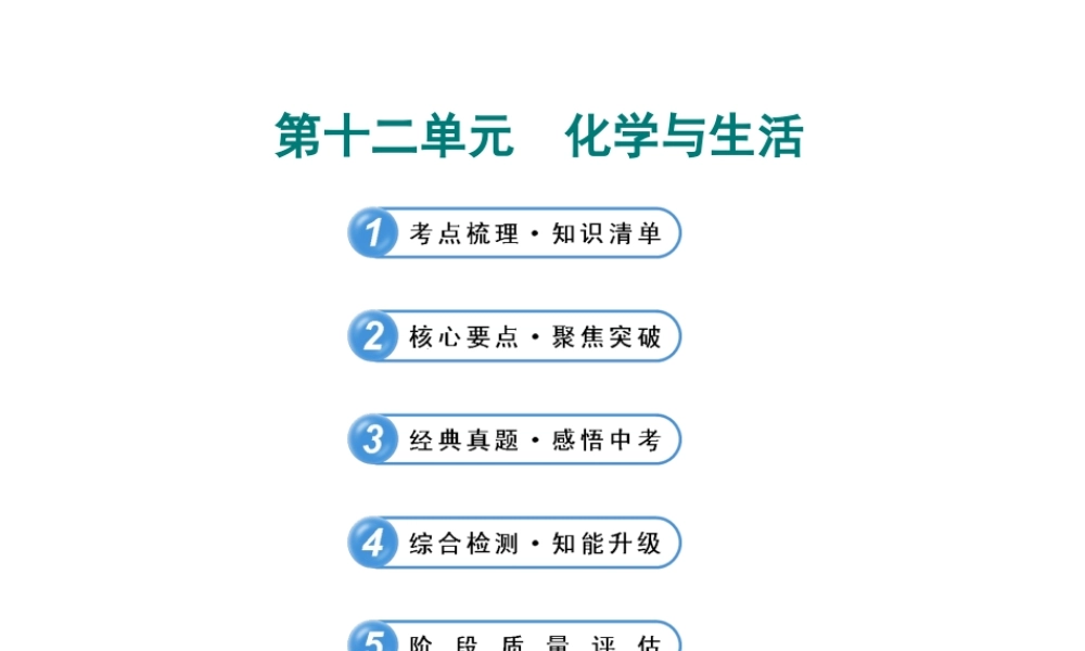【全程复习方略】2013版中考化学 第十二单元 化学与生活课件（含中考示例） 新人教版