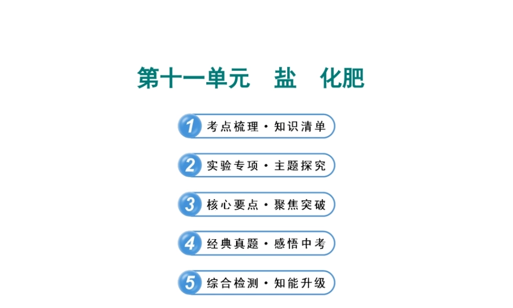 【全程复习方略】2013版中考化学 第十一单元 盐化肥课件（含中考示例） 新人教版