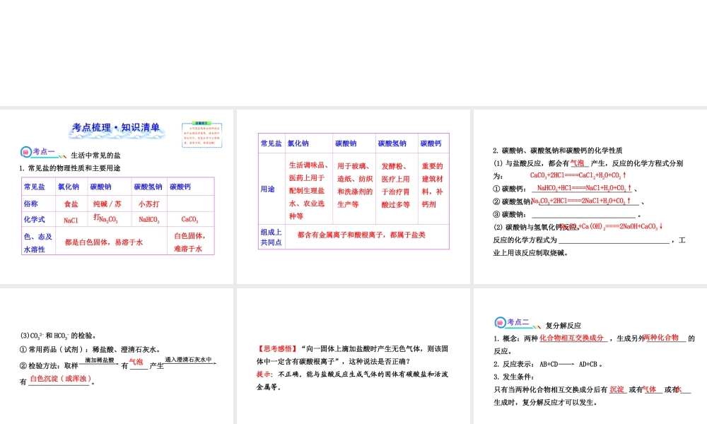 【全程复习方略】2013版中考化学 第十一单元 盐化肥课件（含中考示例） 新人教版