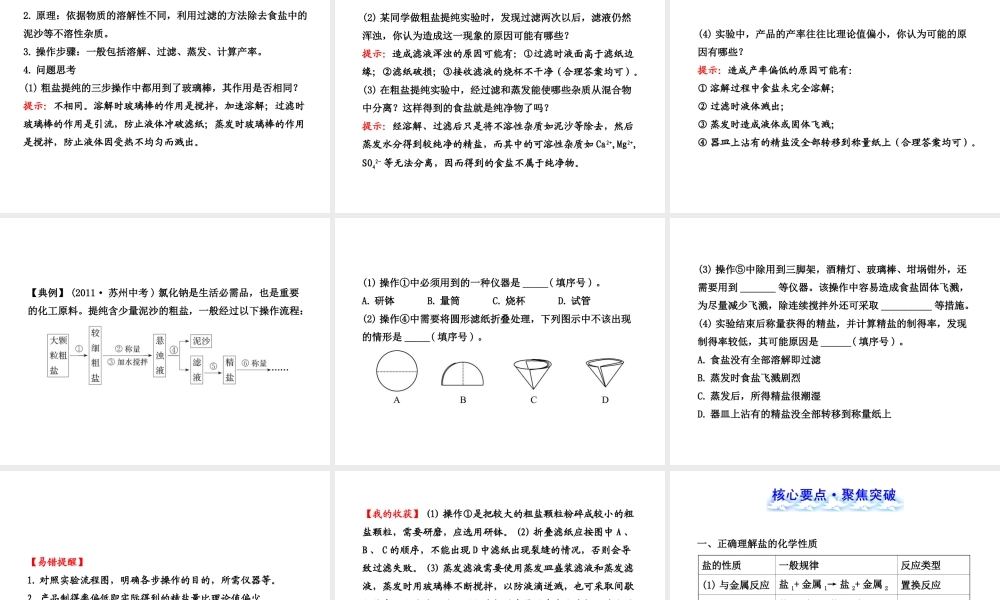 【全程复习方略】2013版中考化学 第十一单元 盐化肥课件（含中考示例） 新人教版