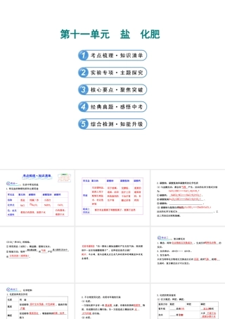【全程复习方略】2013版中考化学 第十一单元 盐化肥课件（含中考示例） 新人教版
