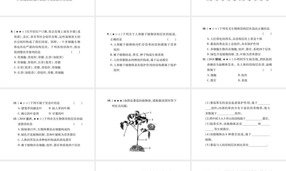 PK中考（江西专用）中考生物 同步高效集训（四）课件-人教版初中九年级全册生物课件