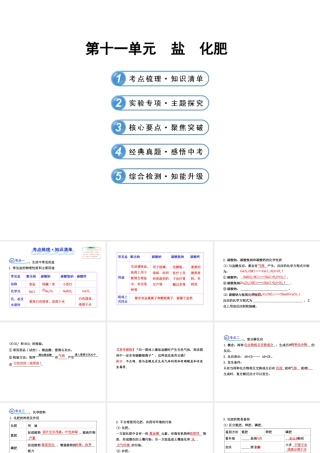 【全程复习方略】2013版中考化学 第十一单元盐 化肥（含中考示例）课件 新人教版