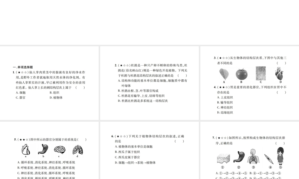 PK中考（江西专用）中考生物 同步高效集训（四）课件-人教级全册生物课件