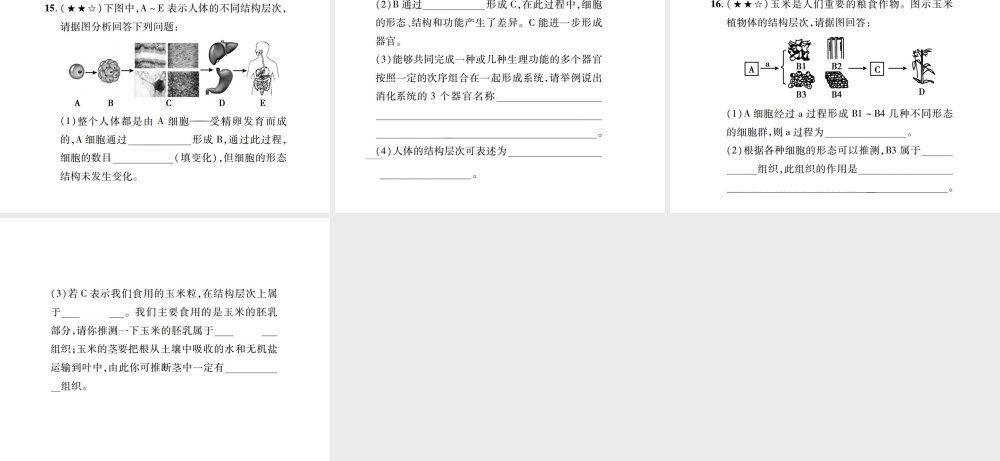 PK中考（江西专用）中考生物 同步高效集训（四）课件-人教级全册生物课件