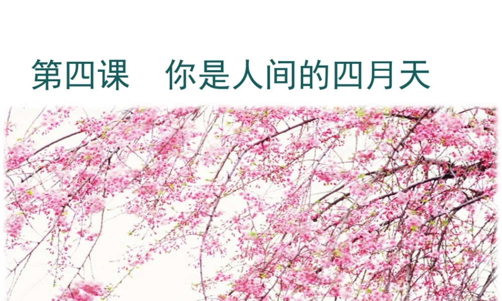2018年九年级语文上册 第一单元 4 你是人间的四月天教学课件 新人教版