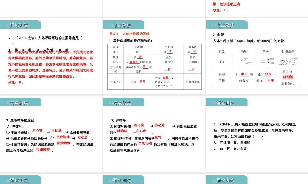 PK中考（江西专用）中考生物 五（二）人体生命活动的能量供给习题课件-人教版初中九年级全册生物课件