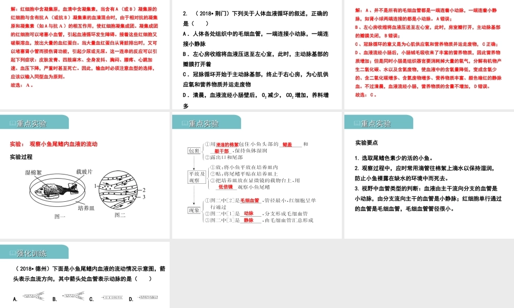 PK中考（江西专用）中考生物 五（二）人体生命活动的能量供给习题课件-人教版初中九年级全册生物课件