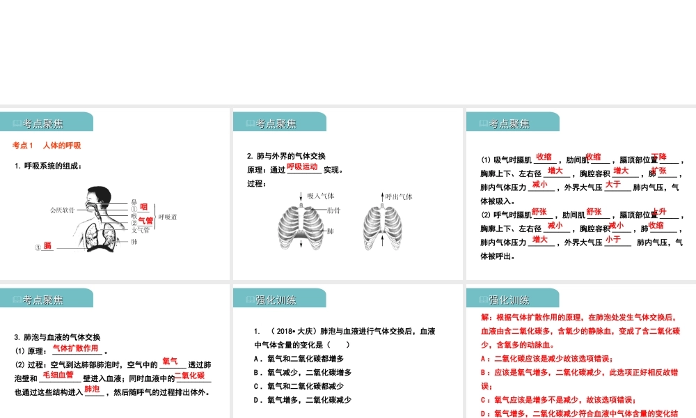 PK中考（江西专用）中考生物 五（二）人体生命活动的能量供给习题课件-人教级全册生物课件