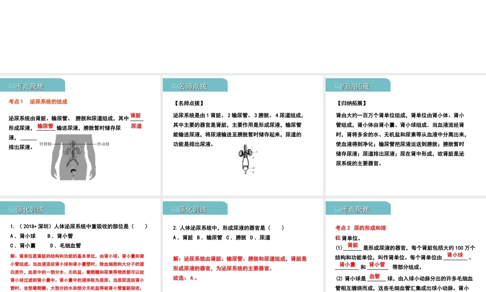 PK中考（江西专用）中考生物 五（三）人体代谢废物的排出习题课件-人教版初中九年级全册生物课件