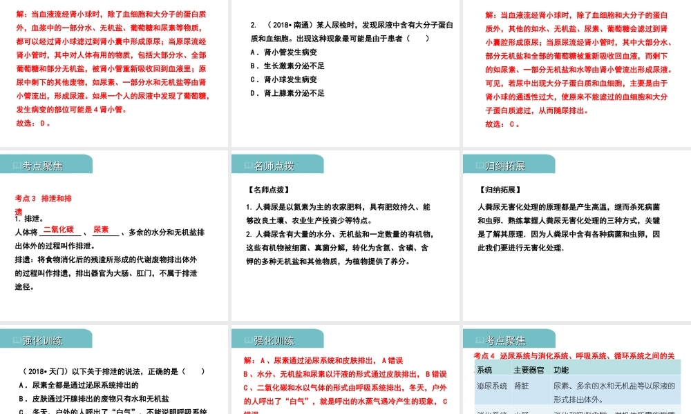 PK中考（江西专用）中考生物 五（三）人体代谢废物的排出习题课件-人教级全册生物课件