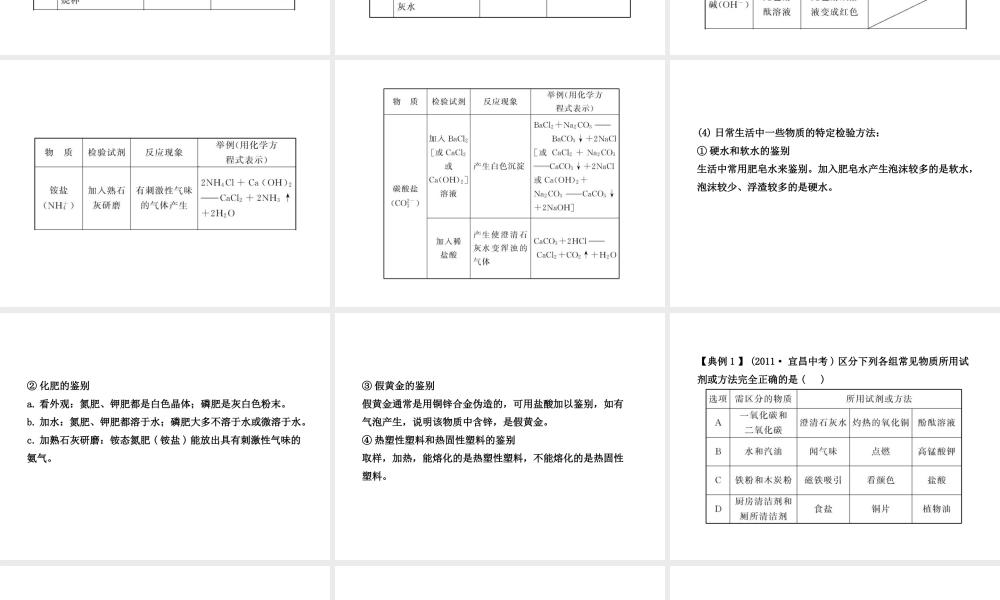 【全程复习方略】2013版中考化学 专项三 物质的检验、分离与推断配套课件 沪教版