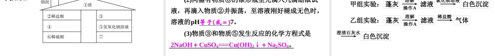 【中考备战策略】2015年中考科学总复习 专题37 物质的循环、转化和检验（考点知识梳理+中考典例精析+考点训练）课件 浙教版