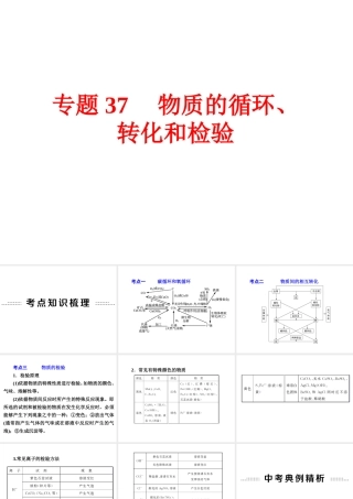 【中考备战策略】2015年中考科学总复习 专题37 物质的循环、转化和检验（考点知识梳理+中考典例精析+考点训练）课件 浙教版