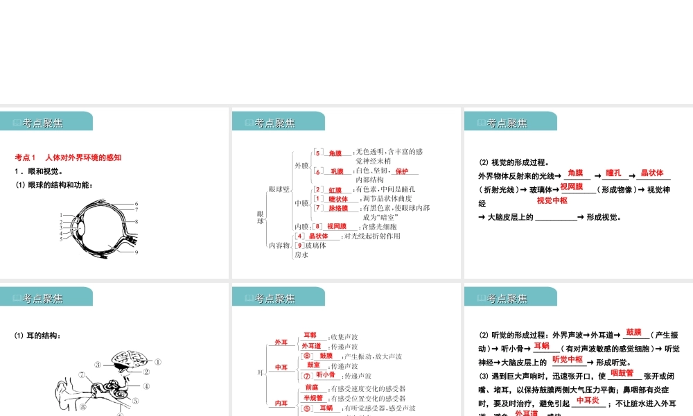 PK中考（江西专用）中考生物 五（四）人体通过神经系统和内分泌系统调节生命活动习题课件-人教级全册生物课件