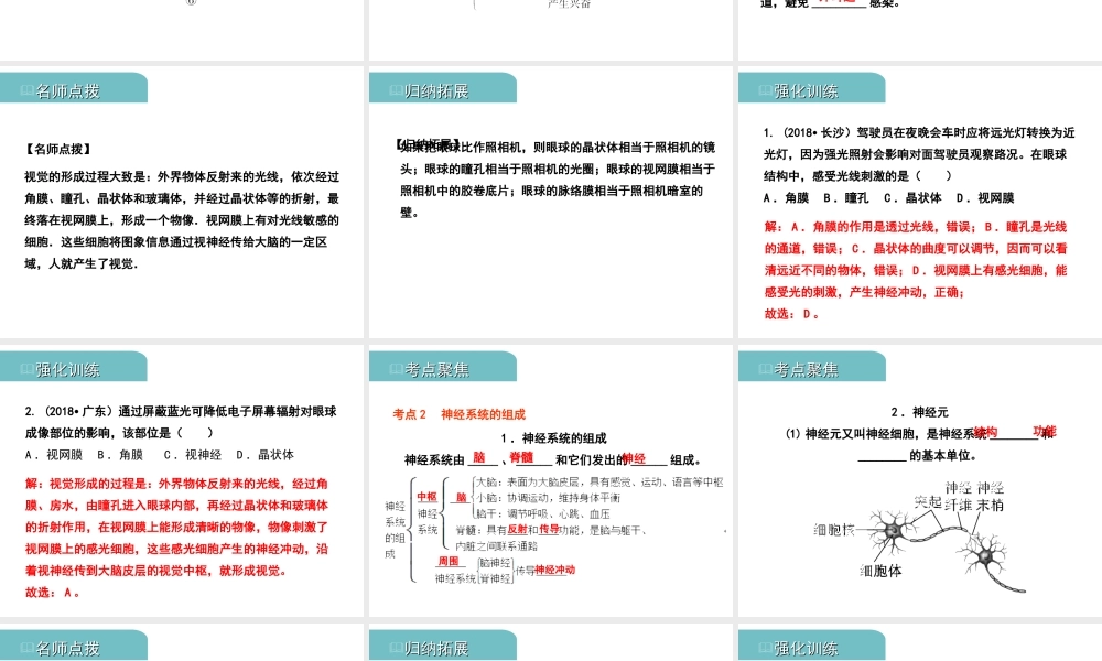PK中考（江西专用）中考生物 五（四）人体通过神经系统和内分泌系统调节生命活动习题课件-人教级全册生物课件