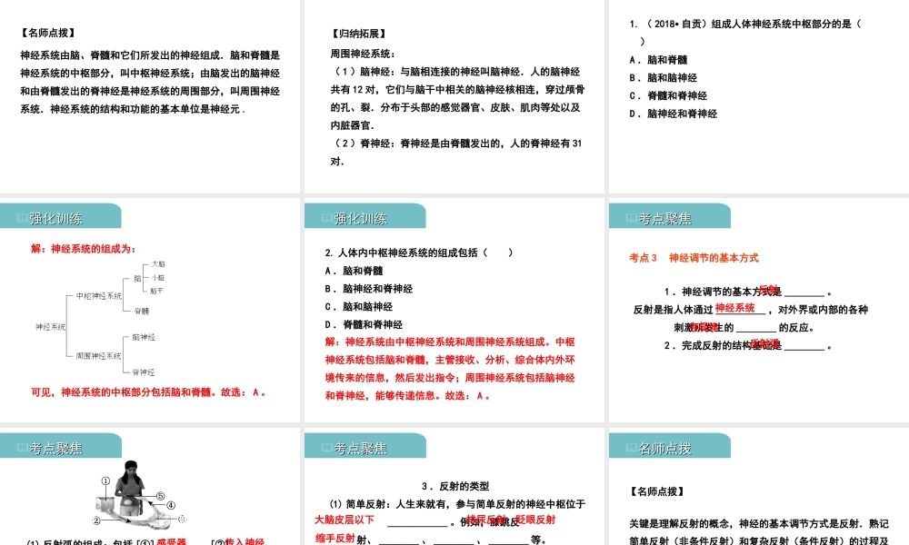 PK中考（江西专用）中考生物 五（四）人体通过神经系统和内分泌系统调节生命活动习题课件-人教级全册生物课件