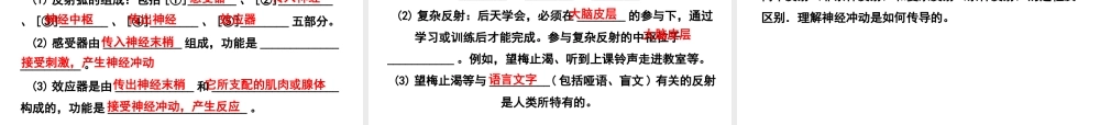 PK中考（江西专用）中考生物 五（四）人体通过神经系统和内分泌系统调节生命活动习题课件-人教级全册生物课件