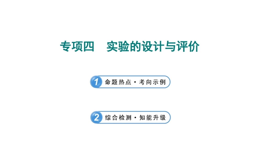【全程复习方略】2013版中考化学 专项四 实验的设计与评价课件（含中考示例） 新人教版