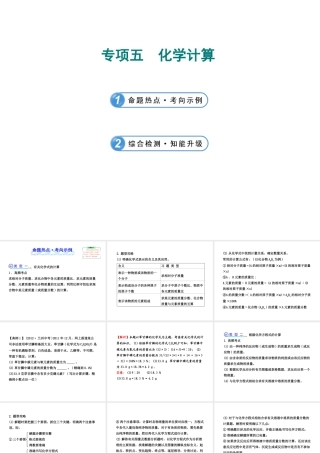 【全程复习方略】2013版中考化学 专项五 化学计算课件（含中考示例） 新人教版