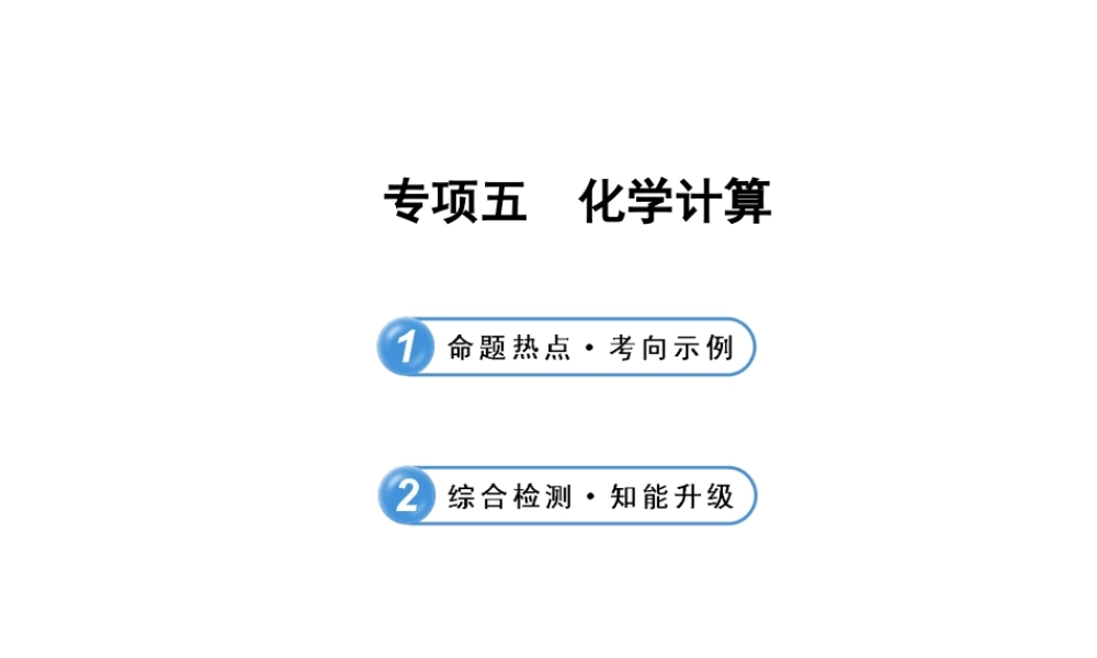 【全程复习方略】2013版中考化学 专项五 化学计算配套课件 沪教版