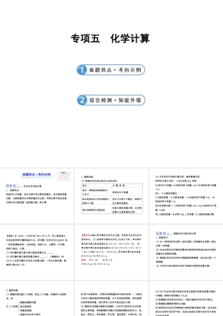 【全程复习方略】2013版中考化学 专项五化学计算（含中考示例）课件 新人教版