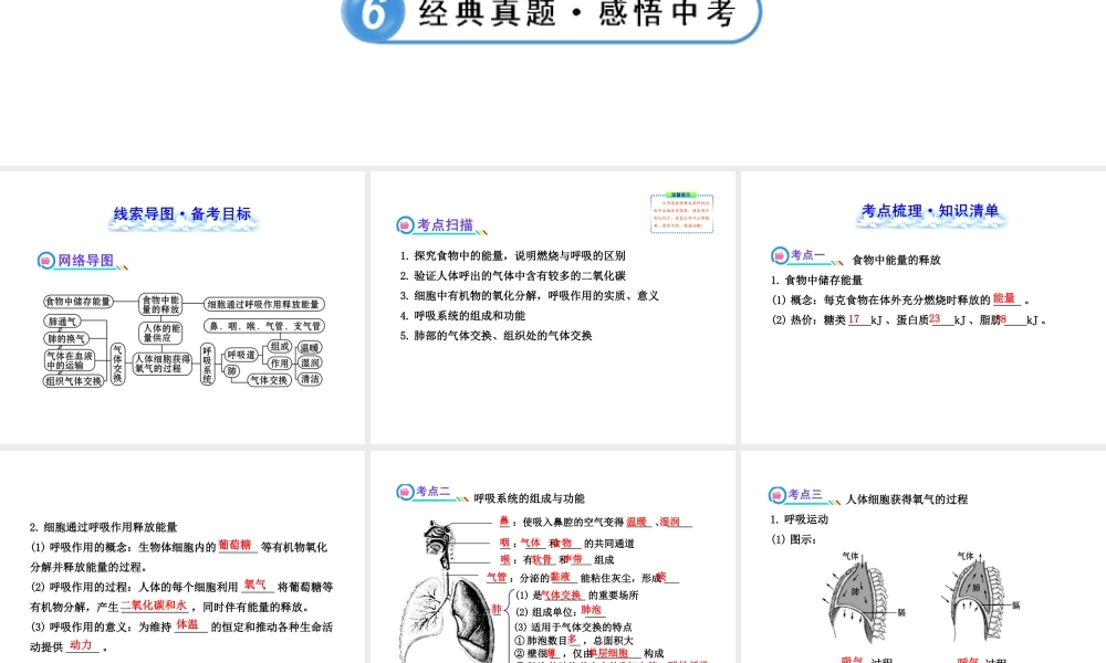 【全程复习方略】2013版中考生物 第10章 人体的能量供应配套课件 北师大版