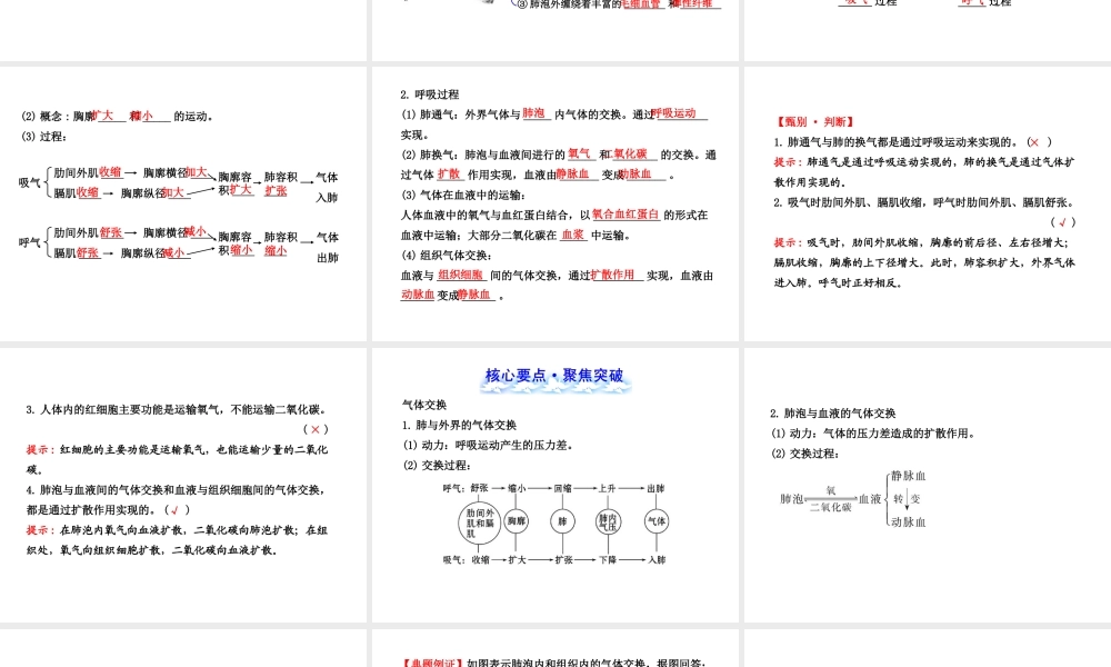 【全程复习方略】2013版中考生物 第10章 人体的能量供应配套课件 北师大版