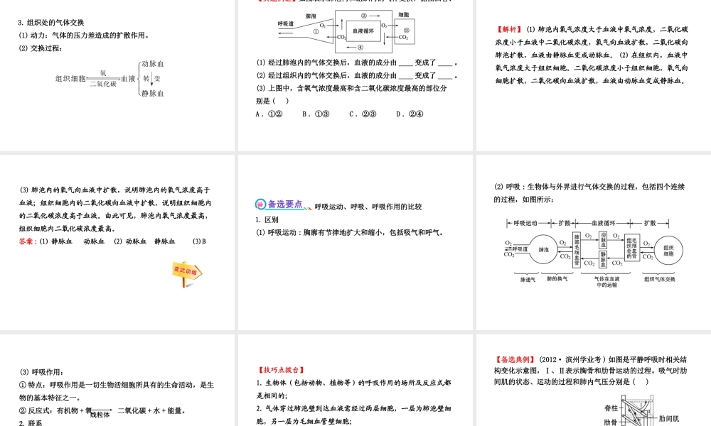 【全程复习方略】2013版中考生物 第10章 人体的能量供应配套课件 北师大版