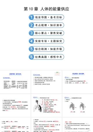 【全程复习方略】2013版中考生物 第10章 人体的能量供应配套课件 北师大版