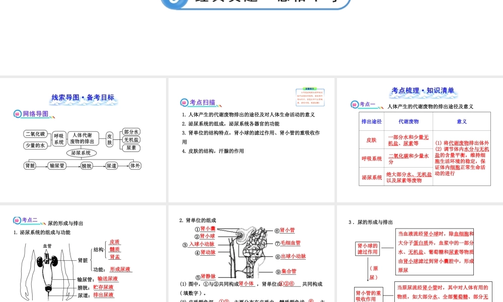【全程复习方略】2013版中考生物 第11章 人体代谢废物的排出配套课件 北师大版