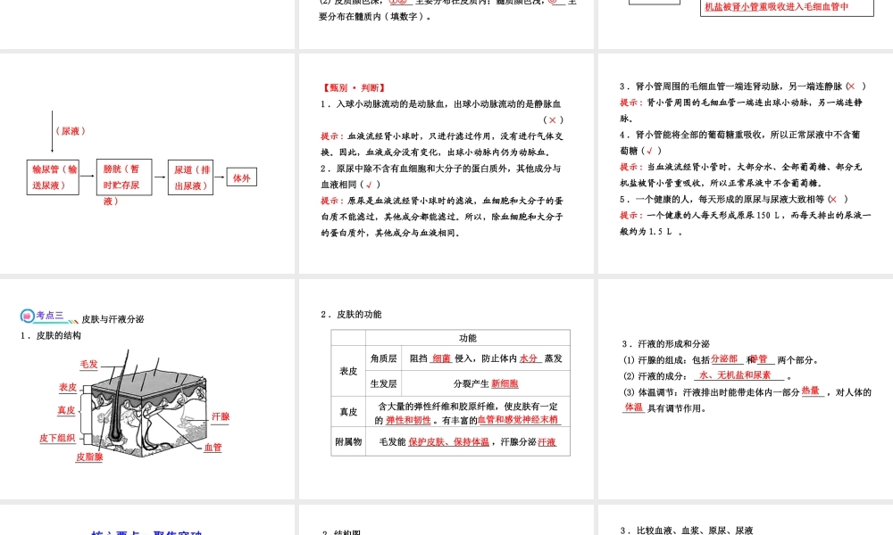 【全程复习方略】2013版中考生物 第11章 人体代谢废物的排出配套课件 北师大版