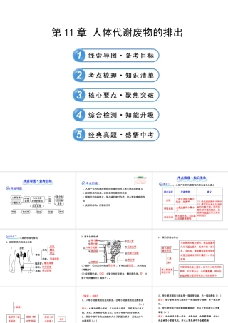【全程复习方略】2013版中考生物 第11章 人体代谢废物的排出配套课件 北师大版