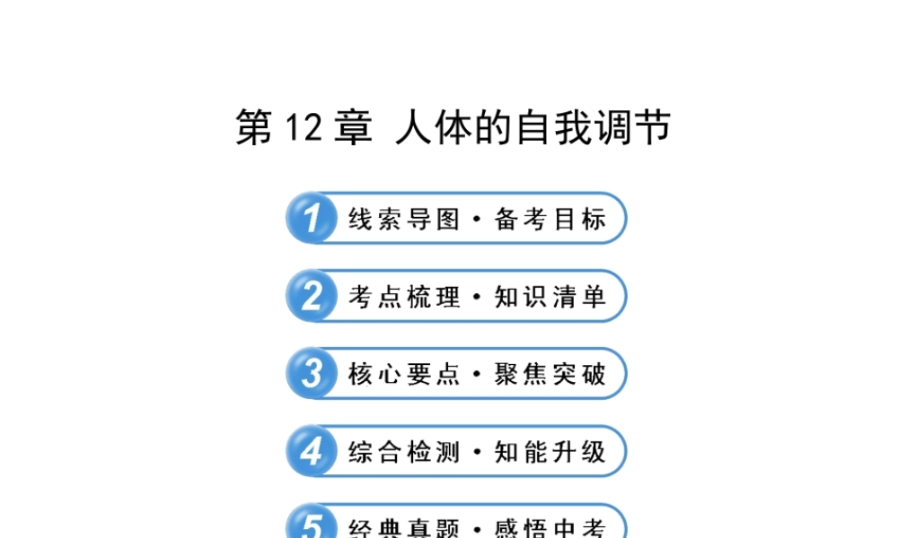 【全程复习方略】2013版中考生物 第12章 人体的自我调节配套课件 北师大版