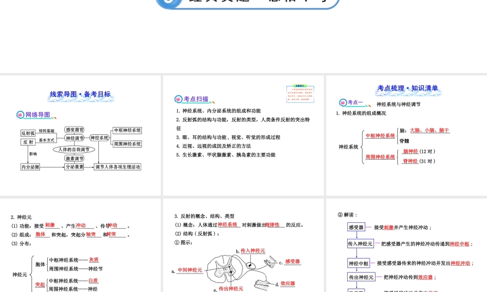 【全程复习方略】2013版中考生物 第12章 人体的自我调节配套课件 北师大版