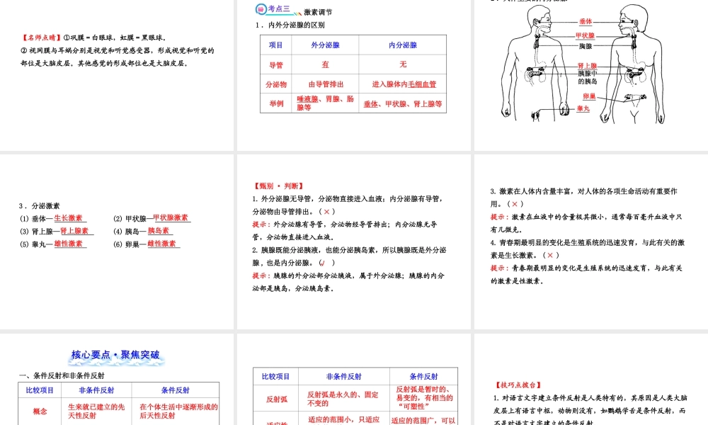 【全程复习方略】2013版中考生物 第12章 人体的自我调节配套课件 北师大版