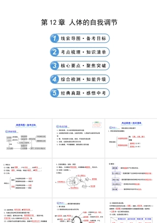 【全程复习方略】2013版中考生物 第12章 人体的自我调节配套课件 北师大版