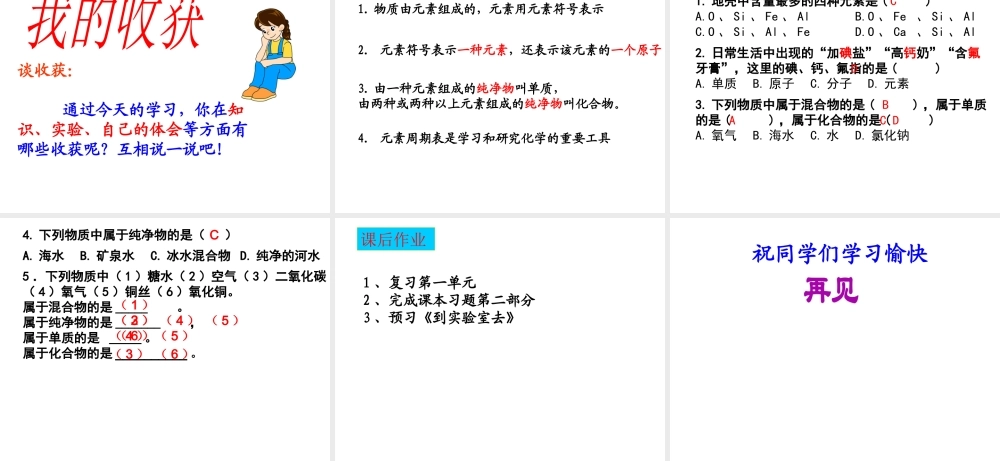 【倍速课时学练】2014九年级化学上册《2.4 元素》课件 （新版）鲁教版